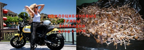 мдпв Бутурлиновка