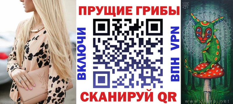 Псилоцибиновые грибы MAGIC MUSHROOMS Великий Устюг