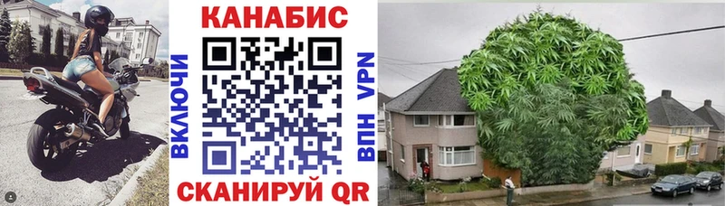 блэк спрут ссылка  как найти закладки  Великий Устюг  Канабис индика 